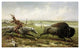 "Buffalo Hunt" Digital Paper Print by Frederick Walker, 24"x15"