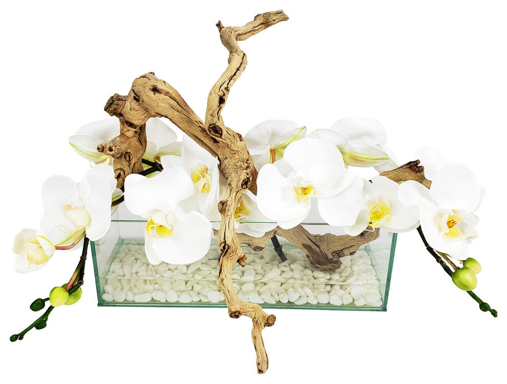 Phalaenopsis Orchid With Natural Wood in 12" Aquarium Vase, White