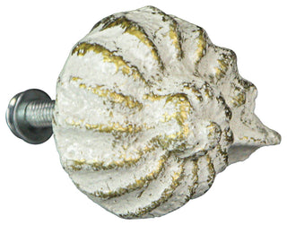 White Cast Iron Nautilus Shell Drawer Pull Decorative Cabinet Knob Set of 6