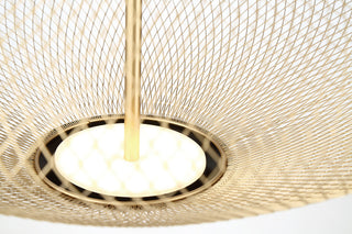 2 Light Modern Pendant