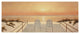 "Take Two" Digital Paper Print by Diane Romanello, 32"x14"