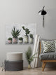 "Earthy Succulent Pots" Painting Print on Wrapped Canvas