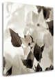 "Florison - 54" By Alan Blaustein, Giclee Print on Gallery Wrap Canvas