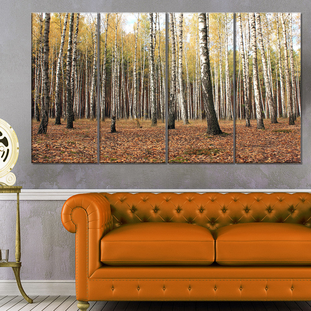 Beautiful Birch Forest Photography, Modern Forest Canvas Art, 48"x28", 4 Panels