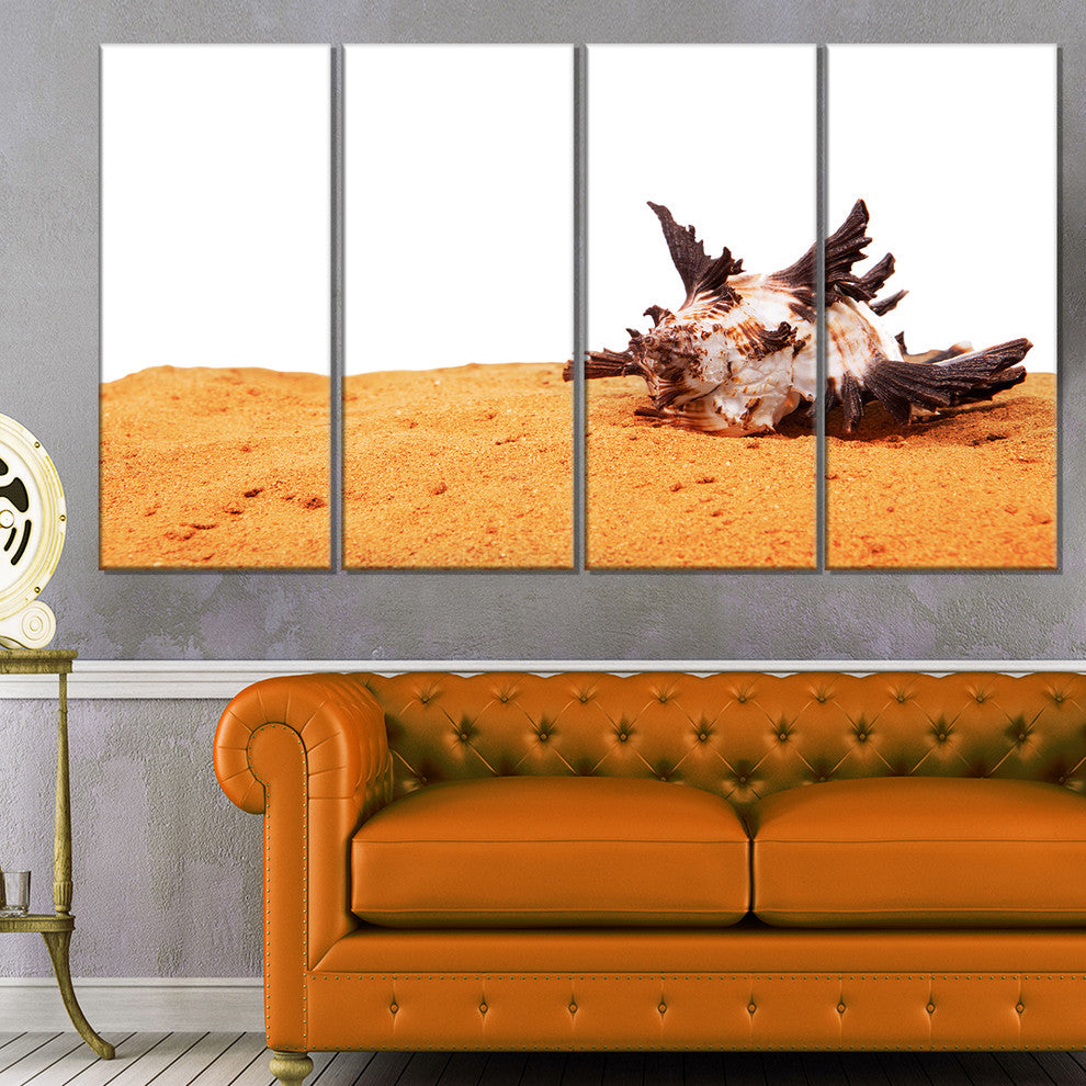 "Large Sea Shells on Sand" Canvas Print, 4 Panels