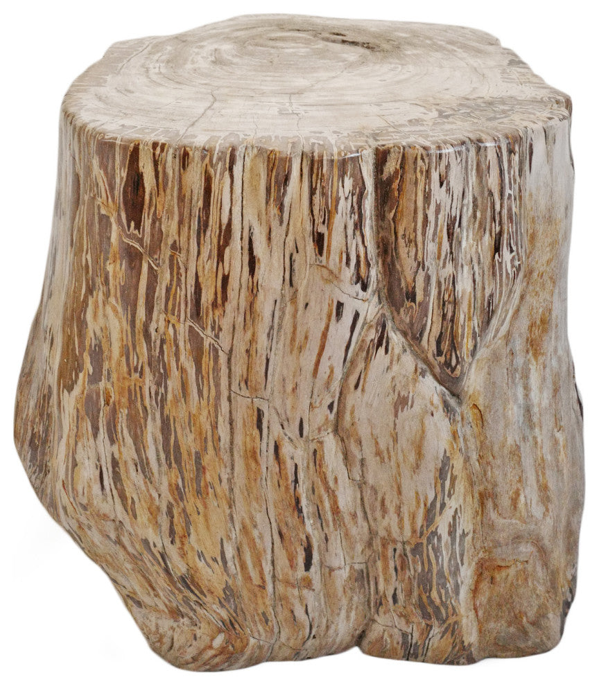 Rustic Petrified Wood Stump Stool Table