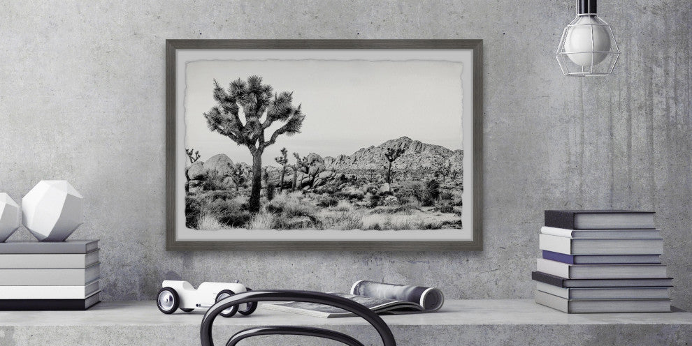 "Joshua Tree National Park" Framed Painting Print, 18"x12"
