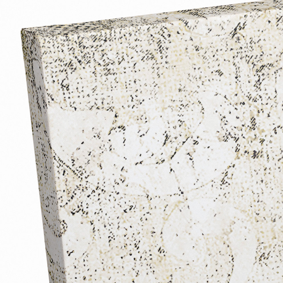 Apothecary Spot 2 24"x30" Canvas Wall Art