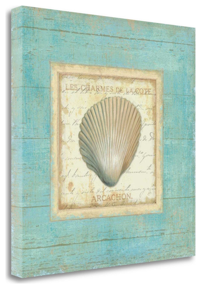 20" French Inspired Seashell Print on Gallery Wrap Canvas Wall Art