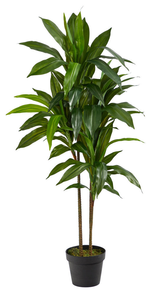 48" Dracaena Silk Plant, Real Touch