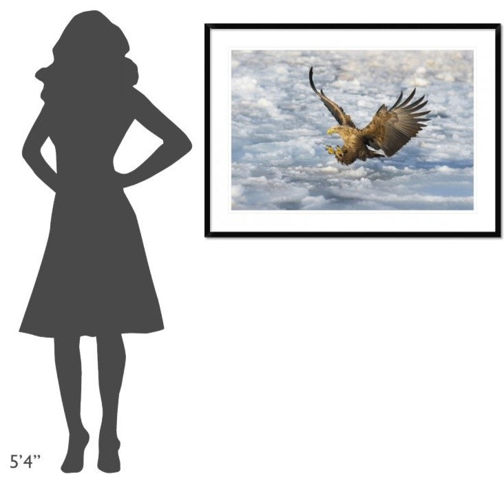 "Coming" Framed Digital Print by C. Mei, 44x32"