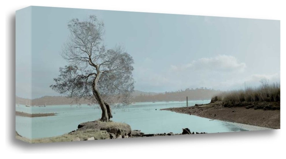 "Lagoon Oak Tree" By Alan Blaustein, Giclee Print on Gallery Wrap Canvas