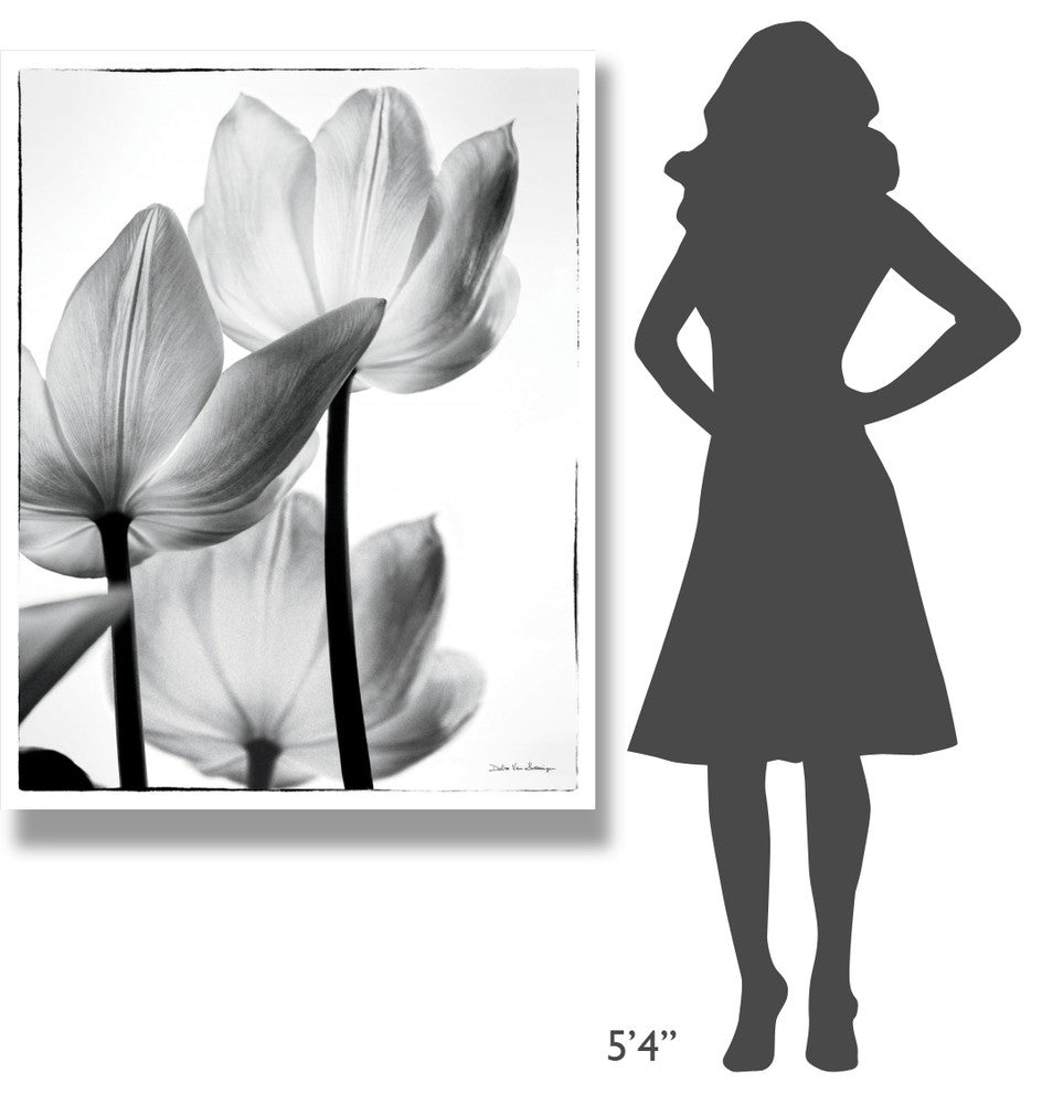 "Translucent Tulips III" Digital Paper Print by Debra Van Swearingen, 38"x50"