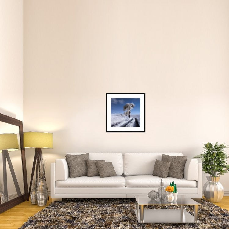 "Winter In Summer" Framed Digital Print by Piotr (Bax) Krol, 30x30"