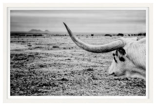 The Horn Fine Art Print, White, 20"x30"