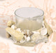 Frosted Glass Candle Holder With Driftwood and Shells