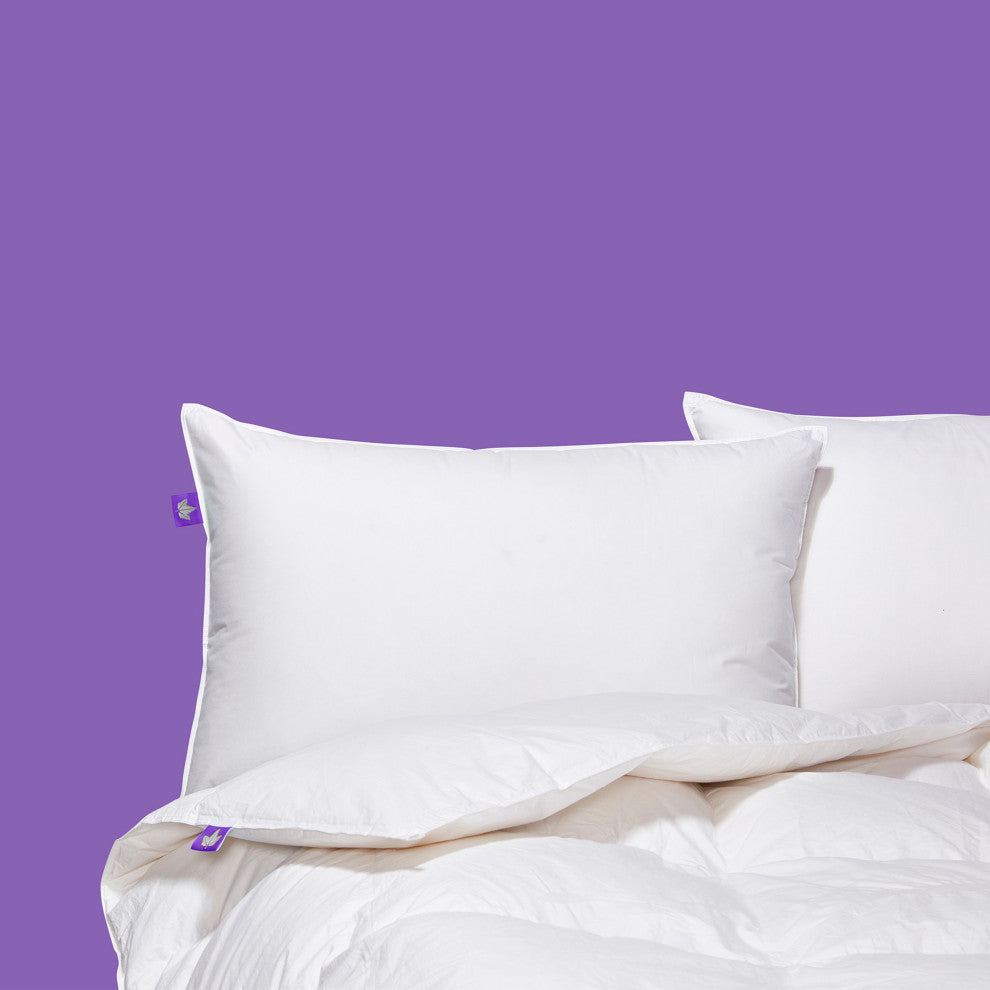 Hutterite Goose Down Comforter, Xl King, Regular Weight