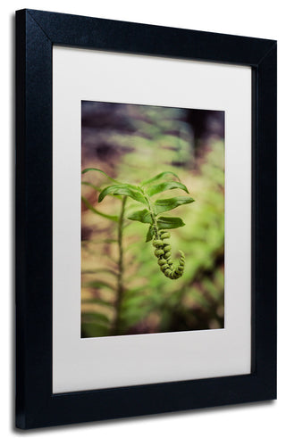 PIPA Fine Art 'Growth of the Forest Floor' Matted Framed Art, 14x11