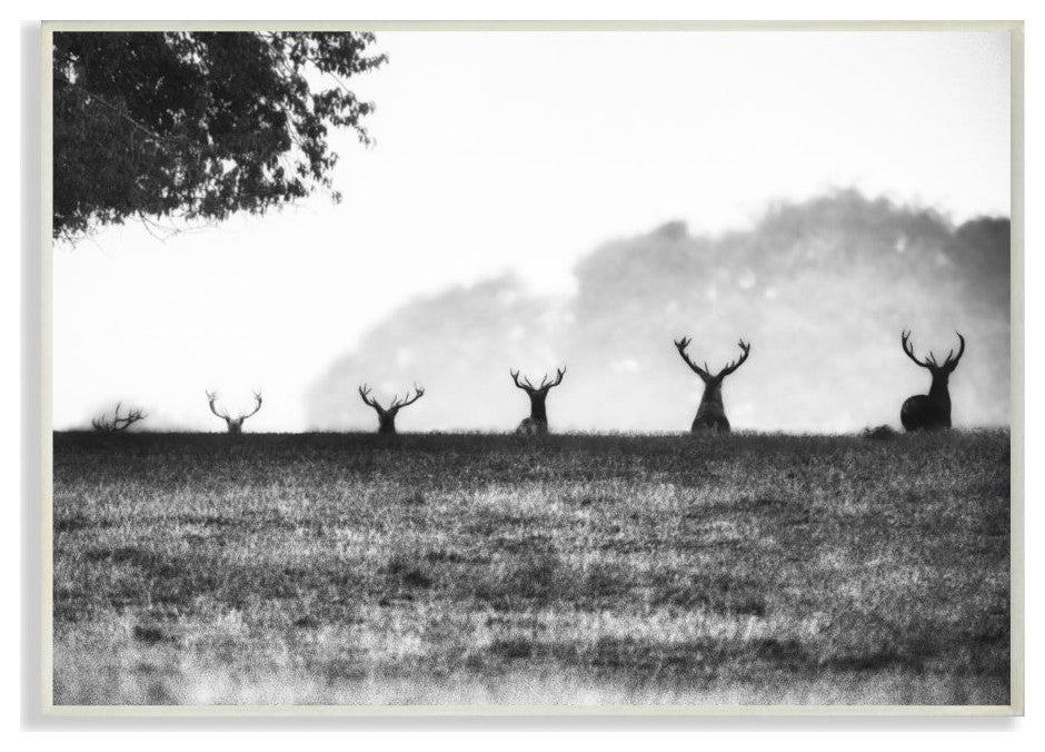Black and White Deer Family Photo, 10"x15"