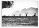 Black and White Deer Family Photo, 10"x15"