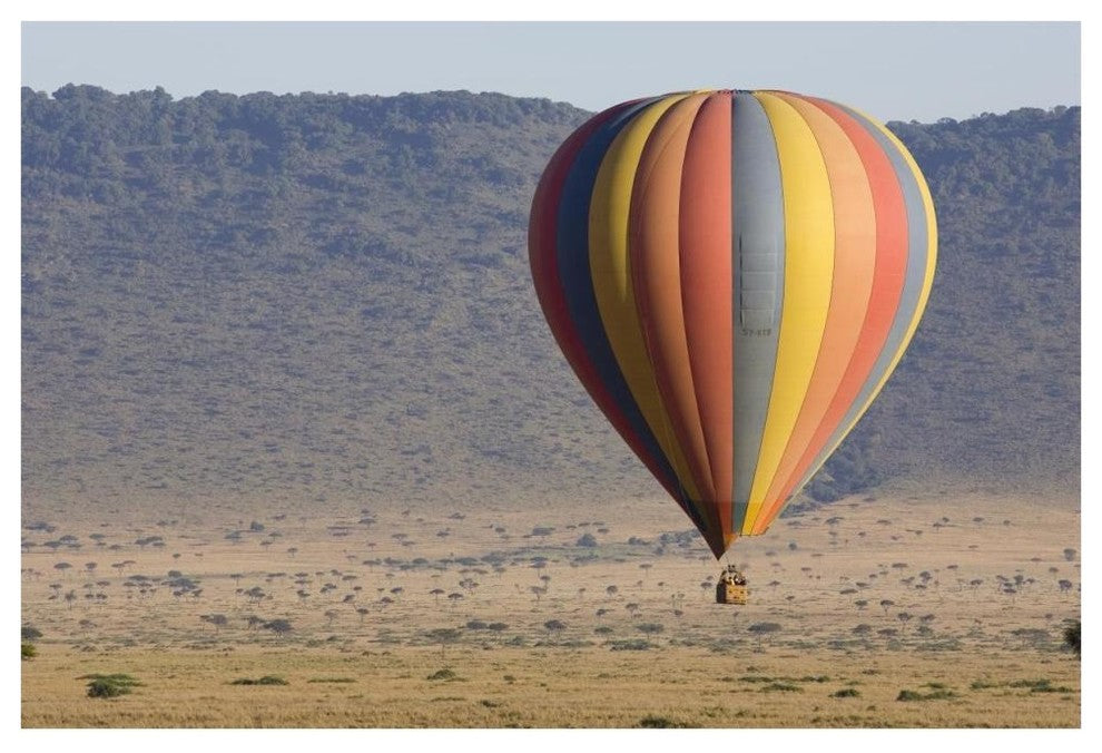 "Hot air balloon over savanna, Masai Mara Triangle, Kenya" Paper Art, 62"x42"