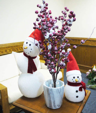 Winter Frost Berry Bush