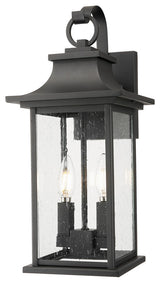 Tiberius 2-Light Outdoor Wall Mount, Black