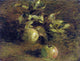 Henri Fantin-Latour Apples, 21"x28" Gallery Wrapped Canvas Print