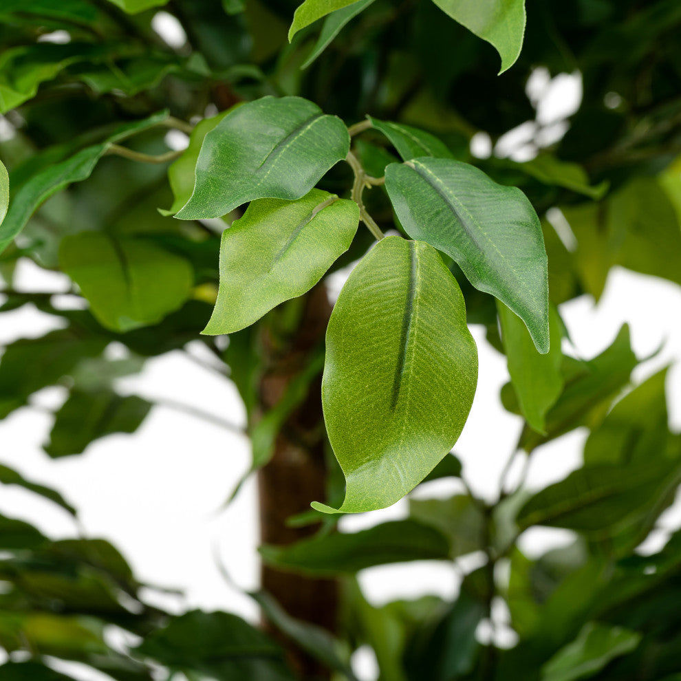 5' Creative Shaped Faux Ficus Tree in Pot