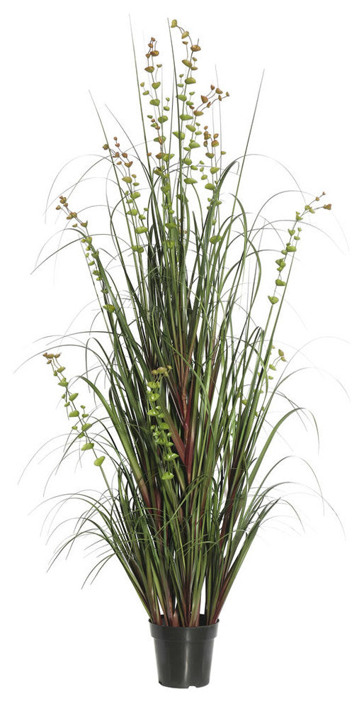 24" Eucalyptus Grass Potted