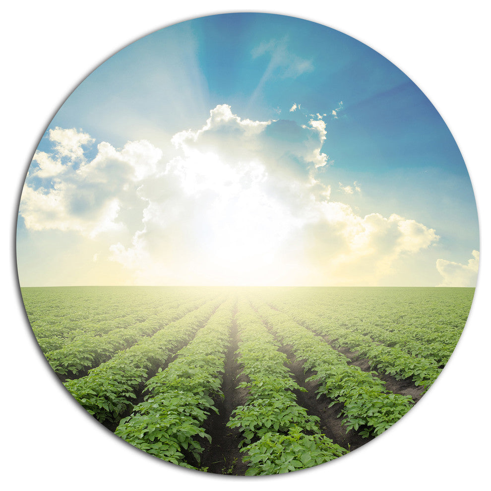 Beautiful Potato Field At Sunset, Landscape Disc Metal Wall Art, 23"