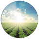 Beautiful Potato Field At Sunset, Landscape Disc Metal Wall Art, 23"
