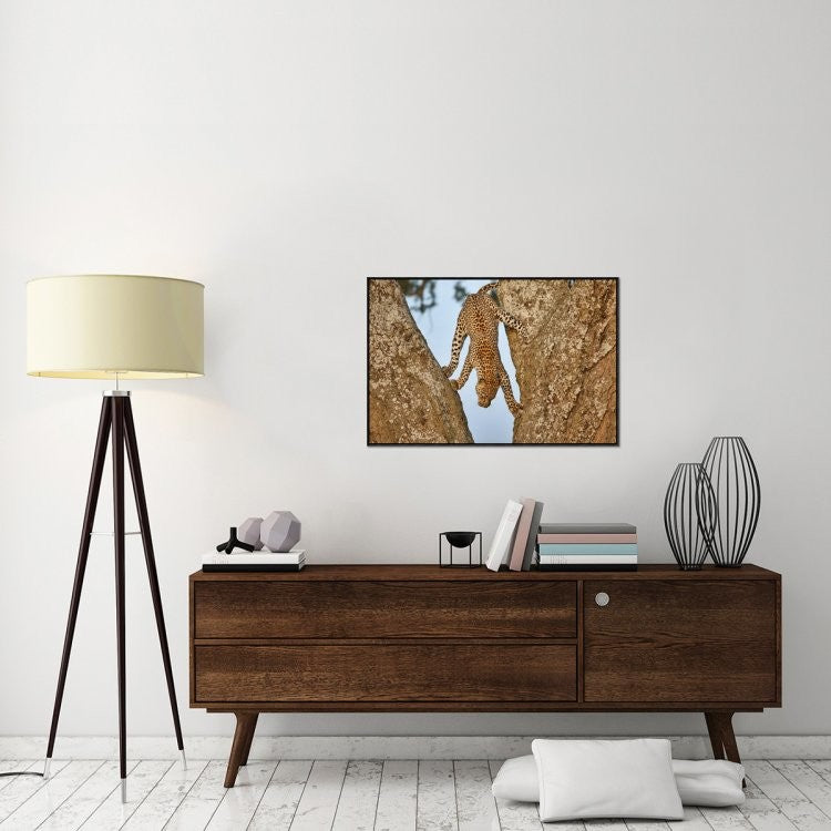"Upside Down" Framed Canvas Giclee by Alessandro Catta, 37x25"