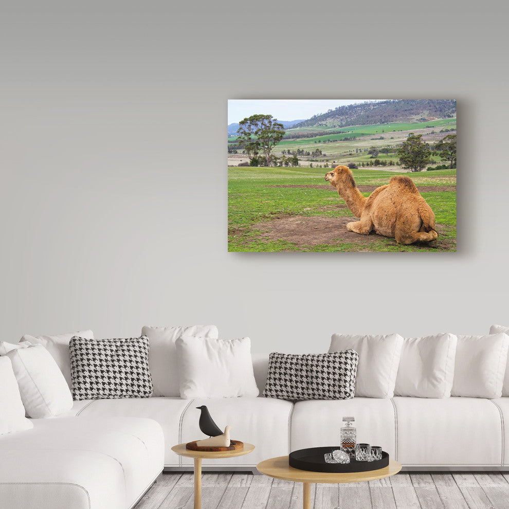 Incredi ''Camel And His View'' Canvas Art, 47"x30"