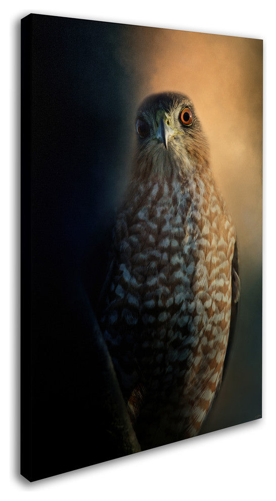 Jai Johnson 'Coopers Hawk At Sunset' Canvas Art, 24 x 16