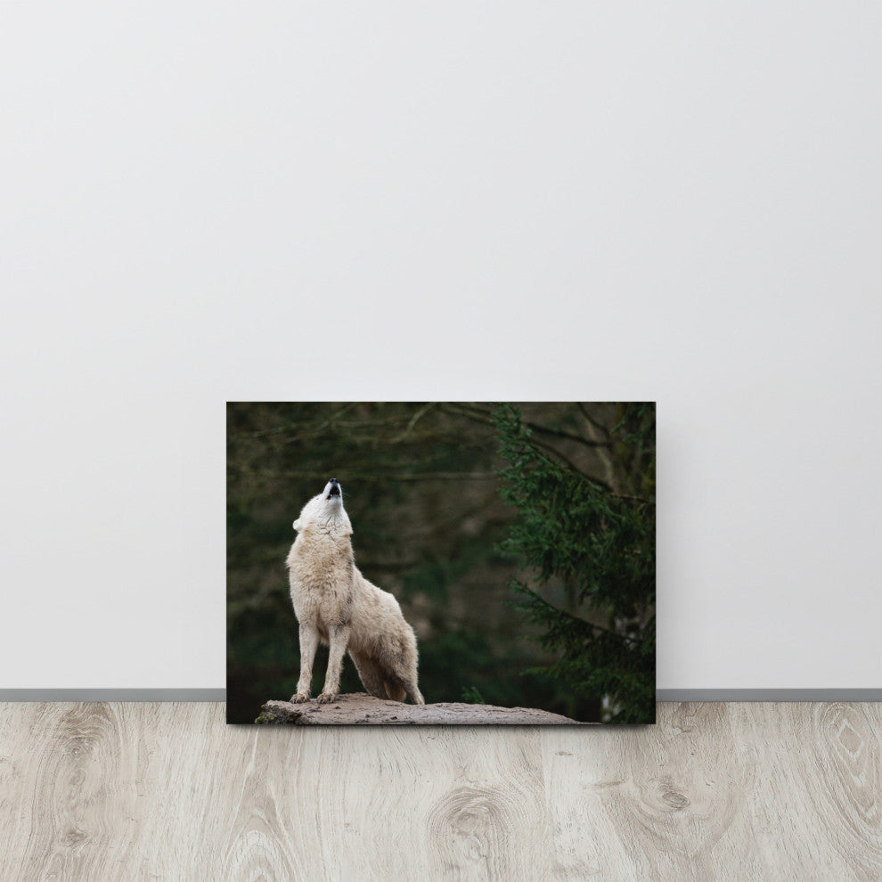 Howling White Wolf In The Forest Wildlife Photograph Canvas Wall Art Print, 12" X 16"