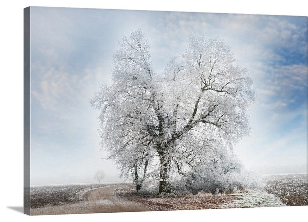 "A Winter Day" Wrapped Canvas Art Print, 24"x16"x1.5"