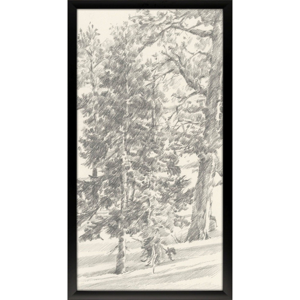 Tree Study II