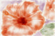 Marmont Hill, "Pink Hibiscus" by Arthur Pina Painting on Wrapped Canvas, 60x40