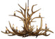 Elk Inverted Deer Antler Chandelier Light, Large, Rawhide Shades