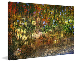 "Meadow Dragon Fly" Print on Canvas by Chris Vest