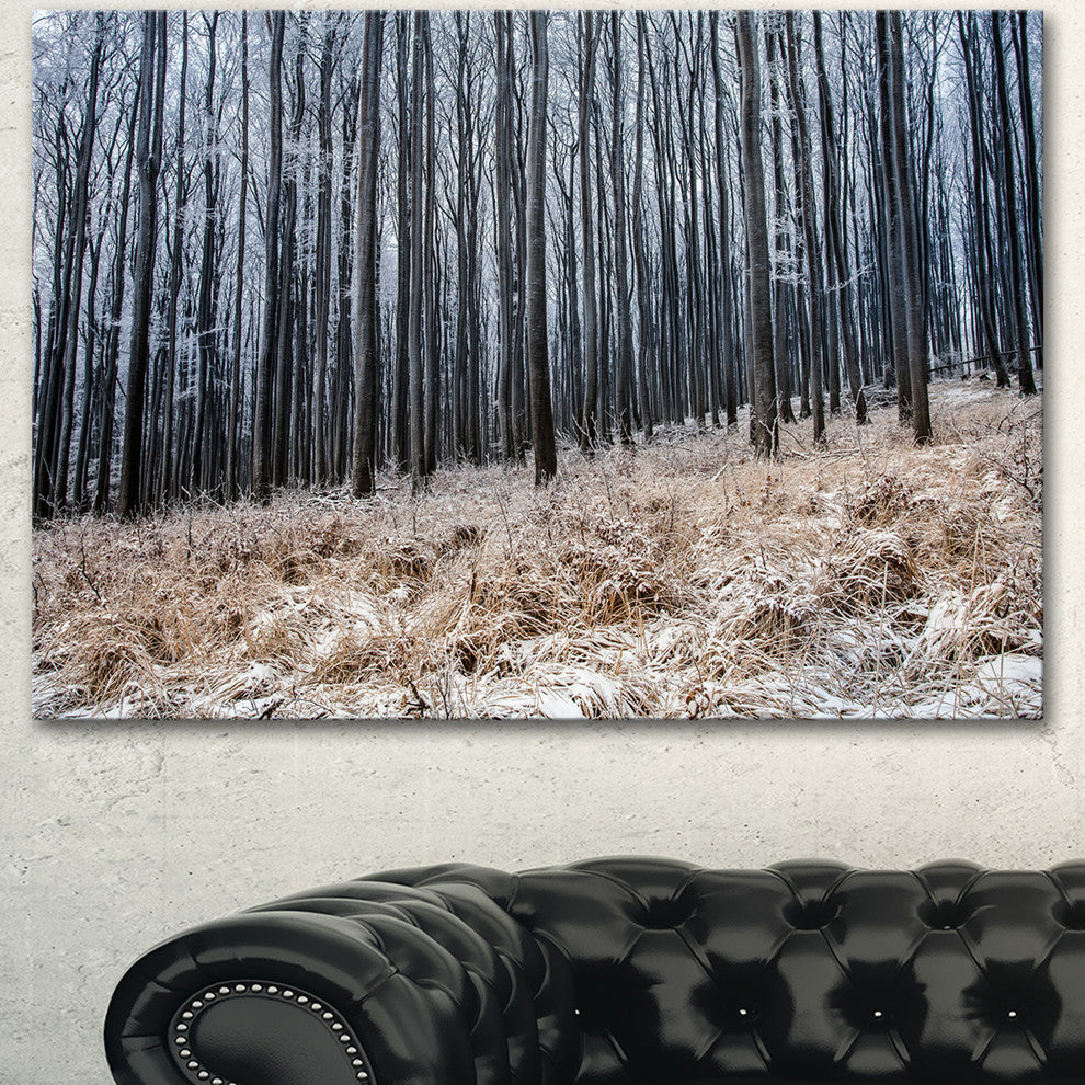 Moody Cold Forest with Thick Woods, Forest Canvas Art Print, 40"x30"