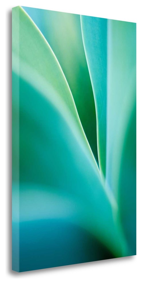 "Agave 4" By Jonathan Nourok, Giclee Print on Gallery Wrap Canvas, Ready to Hang
