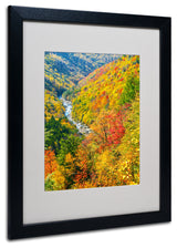 'Valley' Matted Framed Canvas Art by CATeyes