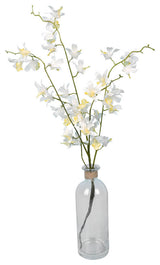 Vickerman 20.5" Mini Orchid in Glass Pot, White