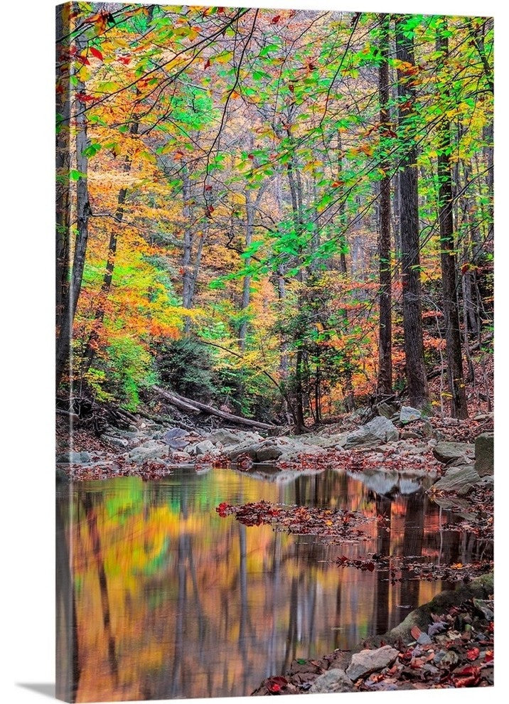 "Anitra's Scene" Wrapped Canvas Art Print, 32"x48"x1.5"