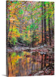 "Anitra's Scene" Wrapped Canvas Art Print, 32"x48"x1.5"