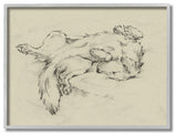 Dog Napping Pet Animal Drawing, 16"x20", Gray Frame