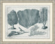 Aquatic Specimines 3, Giclee Reproduction Artwork