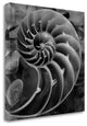 "Crystal Cove - 44" By Alan Blaustein, Giclee Print on Gallery Wrap Canvas